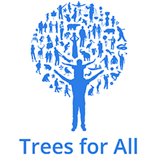 trees for all teambuilding Edinburgh